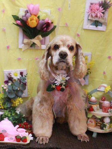 20230302れおんくん